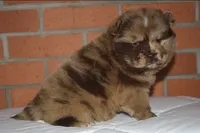 processed/086fd1f2-622f-4583-8937-8e33e06cd83d/listing/1f49580d-99ab-4a26-a31c-78221dda5a4e/e336322d-fb05-409d-9a64-96cb5612a0b7