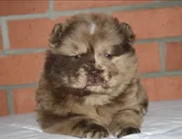 processed/086fd1f2-622f-4583-8937-8e33e06cd83d/listing/1f49580d-99ab-4a26-a31c-78221dda5a4e/e8e19887-de38-4f92-b315-8d325707b5b9