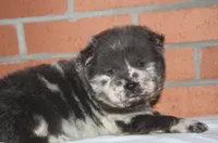 processed/086fd1f2-622f-4583-8937-8e33e06cd83d/listing/5d93e803-4160-4aa9-beb9-e861ca224c16/25e00703-0f08-4f1c-a439-b16f09677619