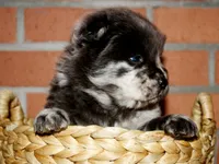 processed/086fd1f2-622f-4583-8937-8e33e06cd83d/listing/5d93e803-4160-4aa9-beb9-e861ca224c16/8b1261ba-7e71-4312-9f57-36958ab0b4d0