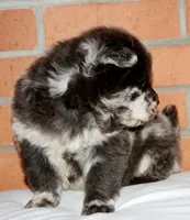 processed/086fd1f2-622f-4583-8937-8e33e06cd83d/listing/5d93e803-4160-4aa9-beb9-e861ca224c16/9882c88a-b89e-4175-ab9e-82f11a61a404