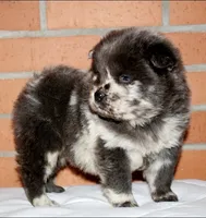 processed/086fd1f2-622f-4583-8937-8e33e06cd83d/listing/5d93e803-4160-4aa9-beb9-e861ca224c16/b4c03d39-48aa-4365-9d21-ee26fc0571c7