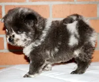 processed/086fd1f2-622f-4583-8937-8e33e06cd83d/listing/5d93e803-4160-4aa9-beb9-e861ca224c16/d3c2c937-2dbb-4d9f-a147-fc0efb85bf1a