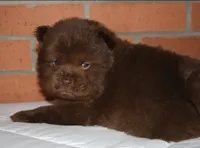 processed/086fd1f2-622f-4583-8937-8e33e06cd83d/listing/9dc9d10b-93c1-4110-bc75-149ee166bc93/008b907e-8be5-4d4b-a3b0-3b51368e7a14