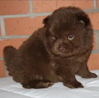 processed/086fd1f2-622f-4583-8937-8e33e06cd83d/listing/9dc9d10b-93c1-4110-bc75-149ee166bc93/566474ce-9814-4919-9b9a-5956fabd664c