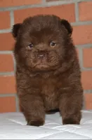 processed/086fd1f2-622f-4583-8937-8e33e06cd83d/listing/9dc9d10b-93c1-4110-bc75-149ee166bc93/9acf68a7-857f-457e-9103-74b8c4278b10