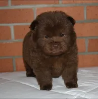 processed/086fd1f2-622f-4583-8937-8e33e06cd83d/listing/9dc9d10b-93c1-4110-bc75-149ee166bc93/9cce8507-9ec6-4348-b046-54c4feaf19c8