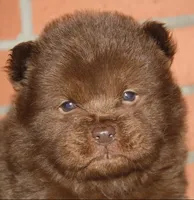 processed/086fd1f2-622f-4583-8937-8e33e06cd83d/listing/9dc9d10b-93c1-4110-bc75-149ee166bc93/a5216b9d-b1c5-4539-bd3e-c5cf92c1b1cb