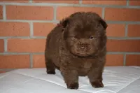 processed/086fd1f2-622f-4583-8937-8e33e06cd83d/listing/9dc9d10b-93c1-4110-bc75-149ee166bc93/be7faf6a-487d-4e3e-ad60-6486f1eb3f92