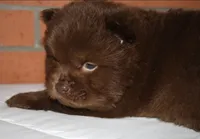 processed/086fd1f2-622f-4583-8937-8e33e06cd83d/listing/9dc9d10b-93c1-4110-bc75-149ee166bc93/d7c4e6b5-0a8c-4f92-bf6d-0dafb01bb38e