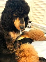 processed/087813ec-eb2b-4cb8-9fe4-d5c4207a687d/facility/14975cf8-5a06-478a-aebd-481bf2a5b82f