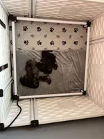 processed/087813ec-eb2b-4cb8-9fe4-d5c4207a687d/facility/37dea699-8aa6-4c99-827c-e4b512709fe9