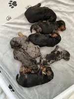 processed/087813ec-eb2b-4cb8-9fe4-d5c4207a687d/facility/44a928d4-9d5c-4ca4-9f40-260e00e9ba6d