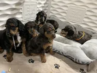 processed/087813ec-eb2b-4cb8-9fe4-d5c4207a687d/facility/6ffd5964-60ab-4208-98dd-b887a84705d1