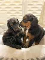 processed/087813ec-eb2b-4cb8-9fe4-d5c4207a687d/facility/7ef5fd04-5df4-4595-a27b-436dffbf4829