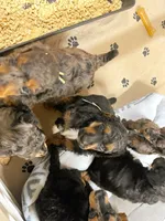 processed/087813ec-eb2b-4cb8-9fe4-d5c4207a687d/facility/973d4b7c-711b-4751-b6de-8c22bffe4f86