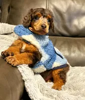 processed/087813ec-eb2b-4cb8-9fe4-d5c4207a687d/facility/a14a951c-a9ef-4471-a054-f7db03359746