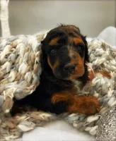 processed/087813ec-eb2b-4cb8-9fe4-d5c4207a687d/facility/b62fa31d-5ebd-43cc-a773-2bd56b33c201