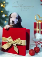 processed/087813ec-eb2b-4cb8-9fe4-d5c4207a687d/listing/272800c6-be08-4e5f-a2d9-3ecf4b65b5bf/40d0038f-687a-4b67-acdd-2b530d85c7b1