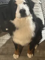 processed/087813ec-eb2b-4cb8-9fe4-d5c4207a687d/listing/272800c6-be08-4e5f-a2d9-3ecf4b65b5bf/6bfe7082-d036-45a7-b54a-bd57fd222063