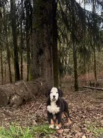 processed/087813ec-eb2b-4cb8-9fe4-d5c4207a687d/listing/272800c6-be08-4e5f-a2d9-3ecf4b65b5bf/a097d4ec-e18c-45eb-8266-6be77be443ed