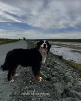 processed/087813ec-eb2b-4cb8-9fe4-d5c4207a687d/listing/272800c6-be08-4e5f-a2d9-3ecf4b65b5bf/a40bd855-e017-4853-8602-215bba5316f4