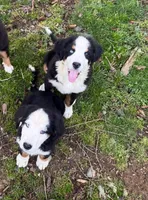 processed/087813ec-eb2b-4cb8-9fe4-d5c4207a687d/listing/272800c6-be08-4e5f-a2d9-3ecf4b65b5bf/b71d30a2-3964-4fdc-927a-5e9522eebd2c