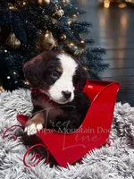 processed/087813ec-eb2b-4cb8-9fe4-d5c4207a687d/listing/c111a4be-47c3-4ce5-9c51-6bc7c85fb269/4b272344-8d8f-4b93-a612-4b60d4ab07cd