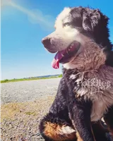 processed/087813ec-eb2b-4cb8-9fe4-d5c4207a687d/listing/c111a4be-47c3-4ce5-9c51-6bc7c85fb269/583bd61b-a070-4262-b24d-7163a524956b