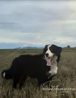 processed/087813ec-eb2b-4cb8-9fe4-d5c4207a687d/listing/c111a4be-47c3-4ce5-9c51-6bc7c85fb269/c462fb33-14d5-4df1-a727-5986584705ff