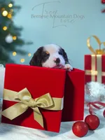 processed/087813ec-eb2b-4cb8-9fe4-d5c4207a687d/listing/d05548f8-dbd0-4f8c-ad4f-94d258a88b3d/323b0b59-4863-4e10-99c4-a6d6823338c7