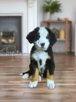 processed/087813ec-eb2b-4cb8-9fe4-d5c4207a687d/listing/d05548f8-dbd0-4f8c-ad4f-94d258a88b3d/711b3665-4e6c-4b7b-a505-ff05a262a251