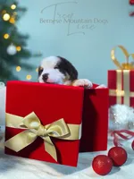 processed/087813ec-eb2b-4cb8-9fe4-d5c4207a687d/listing/d05548f8-dbd0-4f8c-ad4f-94d258a88b3d/b5f4784e-cc70-4051-85c8-1b8c5e38f01f