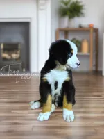 processed/087813ec-eb2b-4cb8-9fe4-d5c4207a687d/listing/d05548f8-dbd0-4f8c-ad4f-94d258a88b3d/c61f91ae-3cc0-4d0f-a749-ef153ea73d96