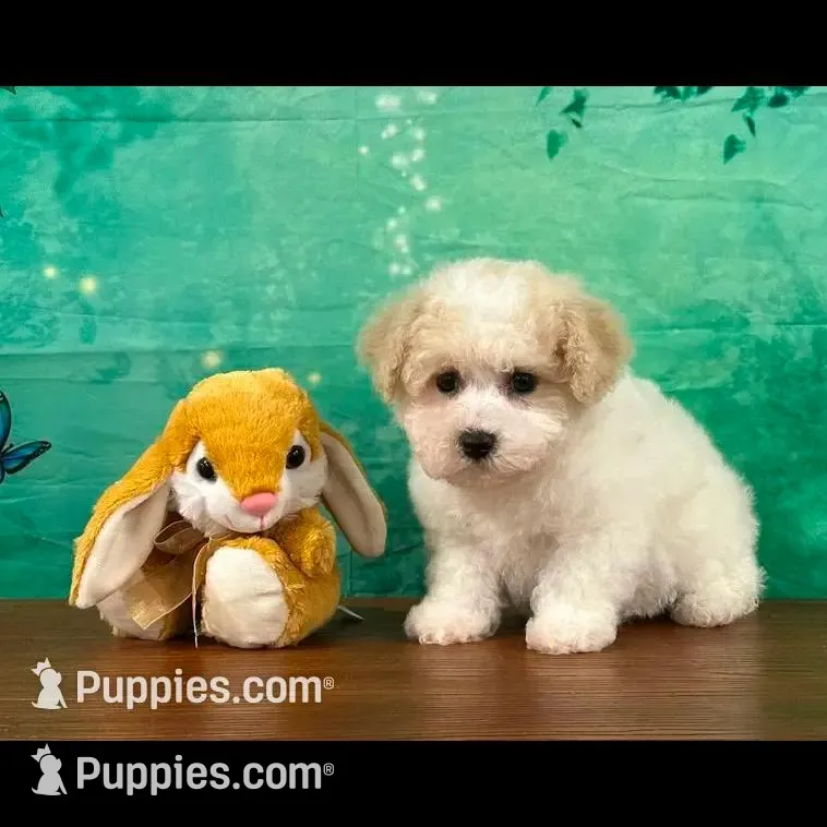 processed/0883cec2-9c27-4996-9b61-42a4f6e6d9a5/facility/0ffe0200-5db9-4e17-9ae9-31238e49dcd7