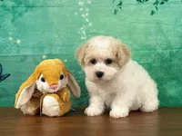 processed/0883cec2-9c27-4996-9b61-42a4f6e6d9a5/facility/0ffe0200-5db9-4e17-9ae9-31238e49dcd7