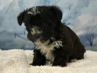 processed/0883cec2-9c27-4996-9b61-42a4f6e6d9a5/listing/036a59b7-a908-4aed-86e3-22009fb2f706/1f4055f6-8ca6-4045-8872-8dcf29d4effa