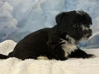 processed/0883cec2-9c27-4996-9b61-42a4f6e6d9a5/listing/036a59b7-a908-4aed-86e3-22009fb2f706/c32d2321-3099-4c46-9d3e-9be07c12d9cb