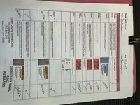 Yorke , a male Bichon Frise and Yorkshire Terrier for sale in Cincinnati, OH – Photo 4 of 5