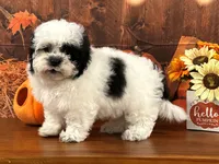 processed/0883cec2-9c27-4996-9b61-42a4f6e6d9a5/listing/26e7bb21-4fcc-4b6e-b702-8a61098f211e/31df381f-2deb-4b36-bf1e-19a71b221b9e