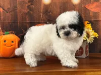 processed/0883cec2-9c27-4996-9b61-42a4f6e6d9a5/listing/26e7bb21-4fcc-4b6e-b702-8a61098f211e/a40c6ef2-20c4-46aa-b91a-c8fec3687acf