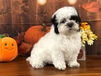 processed/0883cec2-9c27-4996-9b61-42a4f6e6d9a5/listing/26e7bb21-4fcc-4b6e-b702-8a61098f211e/f76250c2-a3fe-43e0-a5c8-7cd2fbaa6701