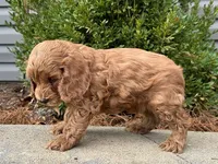 processed/0883cec2-9c27-4996-9b61-42a4f6e6d9a5/listing/3c4cdcf7-312b-4d88-ba92-a90372e51a3e/03c7b2cf-15ef-4e8d-a296-b1af40e5f20e