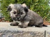 processed/0883cec2-9c27-4996-9b61-42a4f6e6d9a5/listing/53855599-74be-402b-af7d-be0a2a608c86/818a6bd4-ee90-4f3a-a3ce-1dc71d6c625a