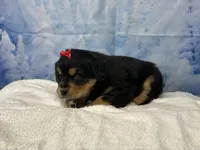 processed/0883cec2-9c27-4996-9b61-42a4f6e6d9a5/listing/5885b489-a2bf-4c0a-98d9-036f89e02bd9/54acbfac-8d52-4942-bb79-5c480e061eb5