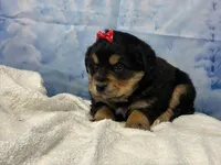 processed/0883cec2-9c27-4996-9b61-42a4f6e6d9a5/listing/5885b489-a2bf-4c0a-98d9-036f89e02bd9/c4eda3c2-13ba-447d-9528-e8384e98ecf3