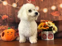 processed/0883cec2-9c27-4996-9b61-42a4f6e6d9a5/listing/5ef5004a-cc12-4840-a11b-533399703ddd/a0106487-c681-4929-82bc-75894c002943