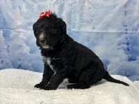 processed/0883cec2-9c27-4996-9b61-42a4f6e6d9a5/listing/72a442a9-758a-4843-a759-98e5261d02c2/86d0903b-ba21-4227-a086-f721f0431a06