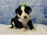 processed/0883cec2-9c27-4996-9b61-42a4f6e6d9a5/listing/75f3f5c6-ca3f-49e7-8150-07c55f7fb2a5/1144cebc-f619-40c0-8349-ca5f7409f4ba