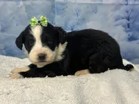 processed/0883cec2-9c27-4996-9b61-42a4f6e6d9a5/listing/75f3f5c6-ca3f-49e7-8150-07c55f7fb2a5/aff4c412-52ca-44ea-adbb-cf02c2b03be5